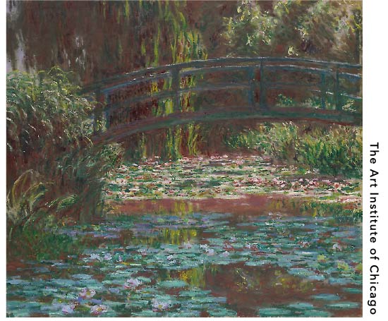 Water Lily Pond