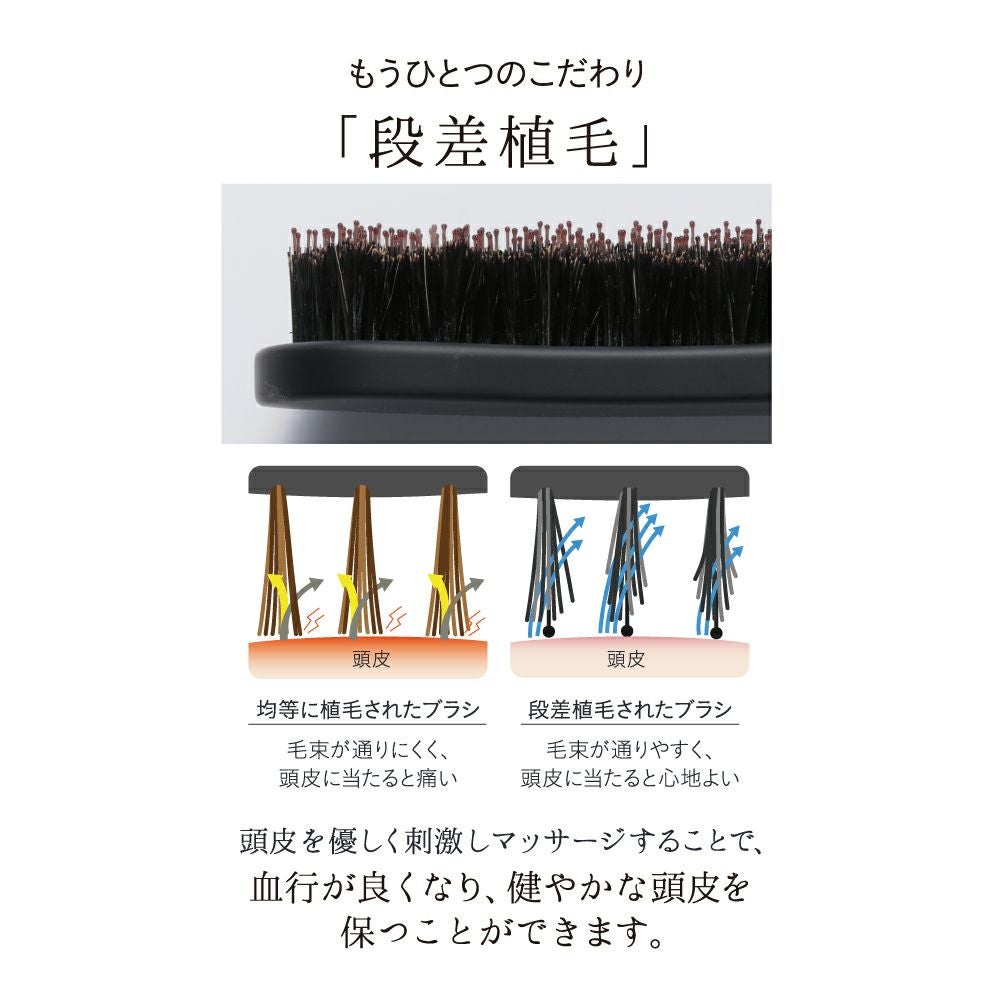 ケアストレートブラシ＋ポイントストレートブラシ セット strainia